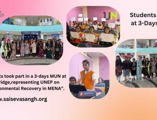 Model United Nations: A Global Learning Journey with Sai Seva Sangh