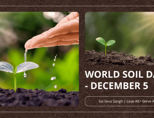 🌍 WORLD SOIL DAY – A SAI SEVA SANGH SPECIAL FEATURE